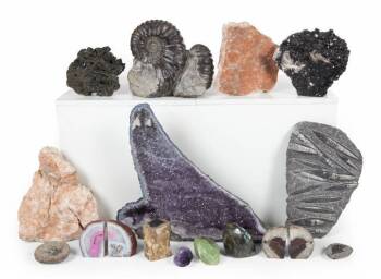 COLLECTION OF GEODES, FOSSILS, AND SPECIMENS