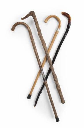 GROUP OF FOUR RUSTIC STYLE CANES