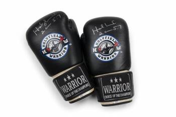 EVANDER HOLYFIELD SIGNED GLOVES FROM HOME GYM