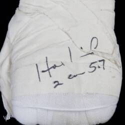 EVANDER HOLYFIELD TRAINING USED & SIGNED HAND WRAPS - 4