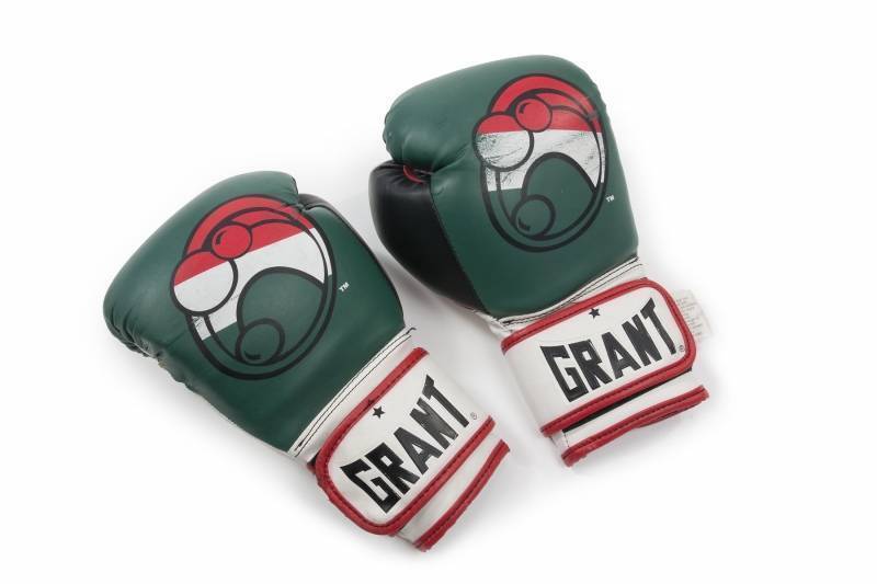 EVANDER HOLYFIELD TRAINING WORN BOXING GLOVES