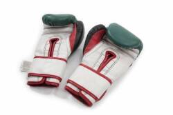 EVANDER HOLYFIELD TRAINING WORN BOXING GLOVES - 2