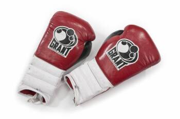 EVANDER HOLYFIELD TRAINING WORN BOXING GLOVES