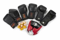 EVANDER HOLYFIELD HOME GYM GROUP