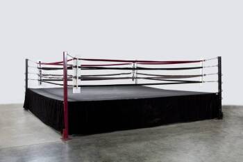EVANDER HOLYFIELD HOME BOXING RING