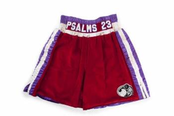 EVANDER HOLYFIELD VS. VINNY MADDALONE FIGHT WORN TRUNKS