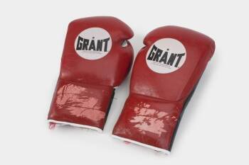 EVANDER HOLYFIELD VS. LENNOX LEWIS FIGHT WORN GLOVES