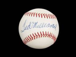 TED WILLIAMS SIGNED GROUP - 2