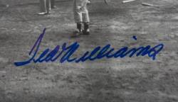 TED WILLIAMS SIGNED GROUP - 4