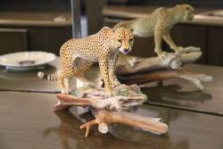 BOEHM LIMITED EDITION CHEETAH FIGURINE