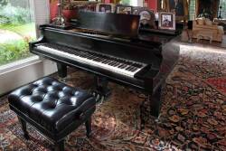 CHICKERING GRAND PIANOFORTE - 3