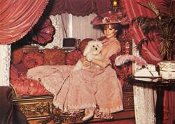 BARBRA STREISAND HELLO, DOLLY! DAYBED - 8