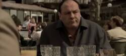 JAMES GANDOLFINI TONY SOPRANO POLO SHIRT - 3