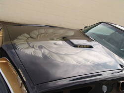 BURT REYNOLDS “SMOKEY AND THE BANDIT” 1977 PONTIAC TRANS AM COUPE - Y82 SPECIAL EDITION - 6