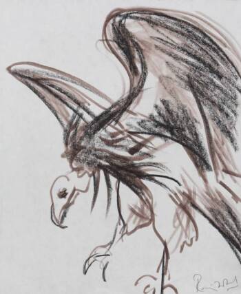 RONNIE WOOD DRAWING OF A VULTURE