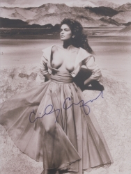 CINDY CRAWFORD SIGNED PHOTOGRAPHS AND POSTERS - 5