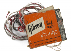 PETE TOWNSHEND TOUR USED GUITAR STRINGS