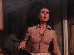 VIVIEN LEIGH FITTED BLOUSE FROM "GONE WITH THE WIND" - 3