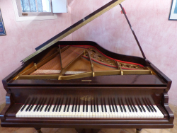 BILL WYMAN ANTIQUE ERARD BABY GRAND PIANO - 3