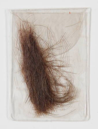 ELVIS PRESLEY LOCK OF HAIR