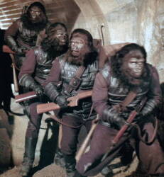 PLANET OF THE APES FILMS AND TV SERIES COSTUME - 3