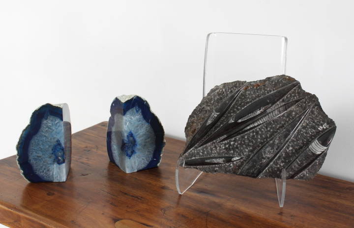 GROUP OF GEODES AND A FOSSIL