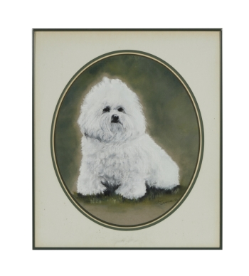 BETTY WHITE: PET DOG PORTRAIT AND POLAROID PHOTO