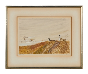 BETTY WHITE: TESS WHITE SEA BIRDS IN A LANDSCAPE WATERCOLOR PAINTING