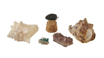 BETTY WHITE: SHELLS AND GEODES