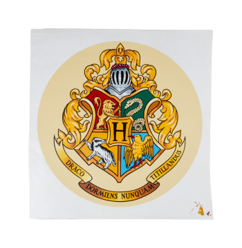Harry Potter And The Chamber Of Secrets | Hogwarts Express Screen-Printed Logo Train Sticker