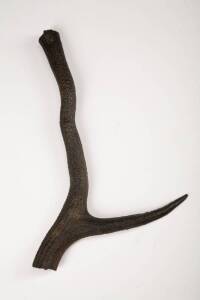 BRAVEHEART RUBBER STAG HORN