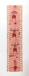 MUHAMMAD ALI NEGATIVES FOR SPORTS ILLUSTRATED