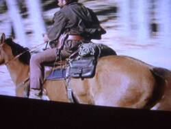 THE OUTLAW JOSEY WALES CLINT EASTWOOD SADDLEBAG - 4