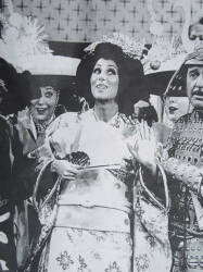 CHER “GEISHA” COSTUME FROM THE SONNY & CHER SHOW - 4